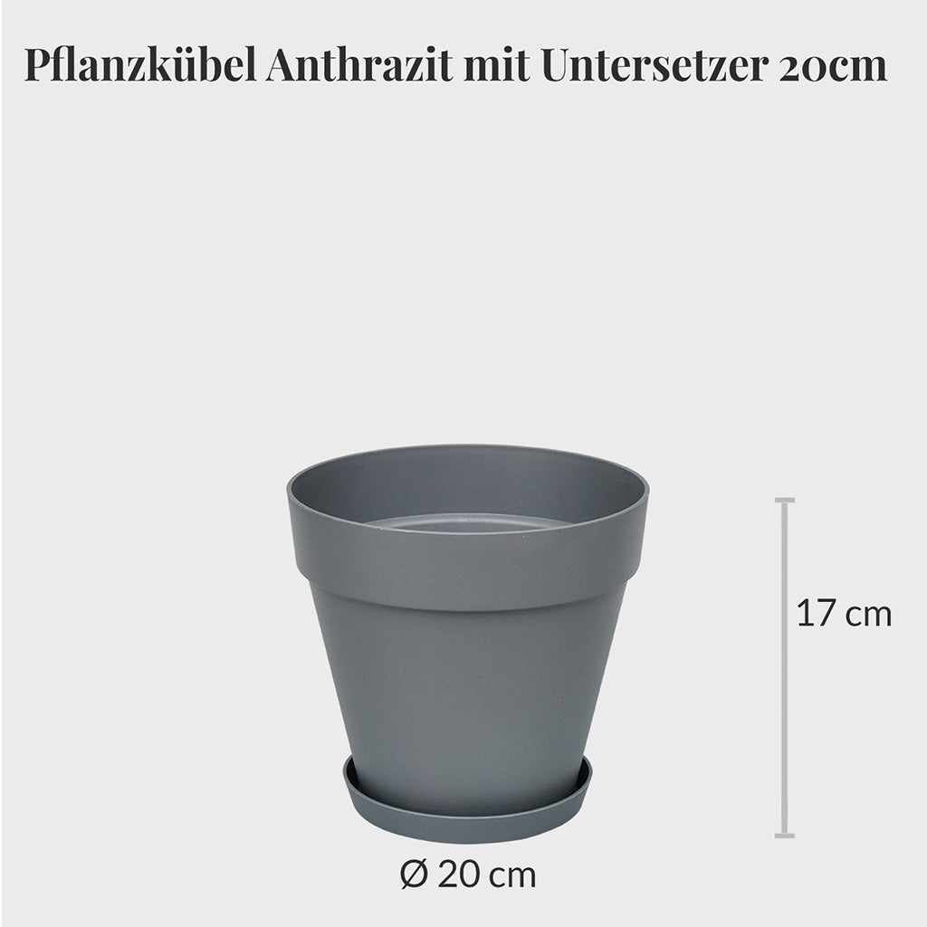 3er Set Elho Loft Pflanzkübel mit Untersetzer 20cm