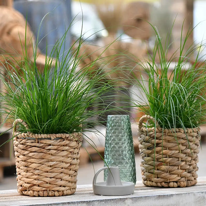 Mix & Match Balkongräser, 20-80cm