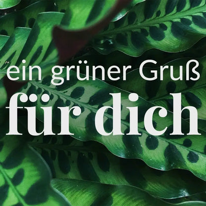 Grußkarte