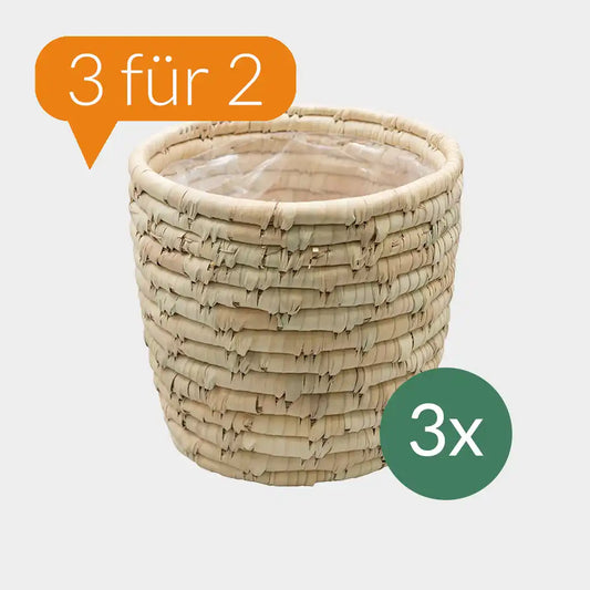 3 FÜR 2 Körbe aus Palmenblättern 18cm