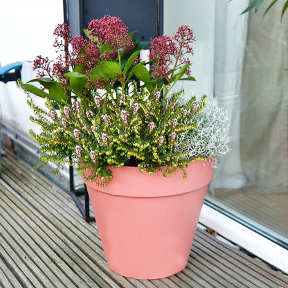 Elho Loft 30cm mit Erde 10L