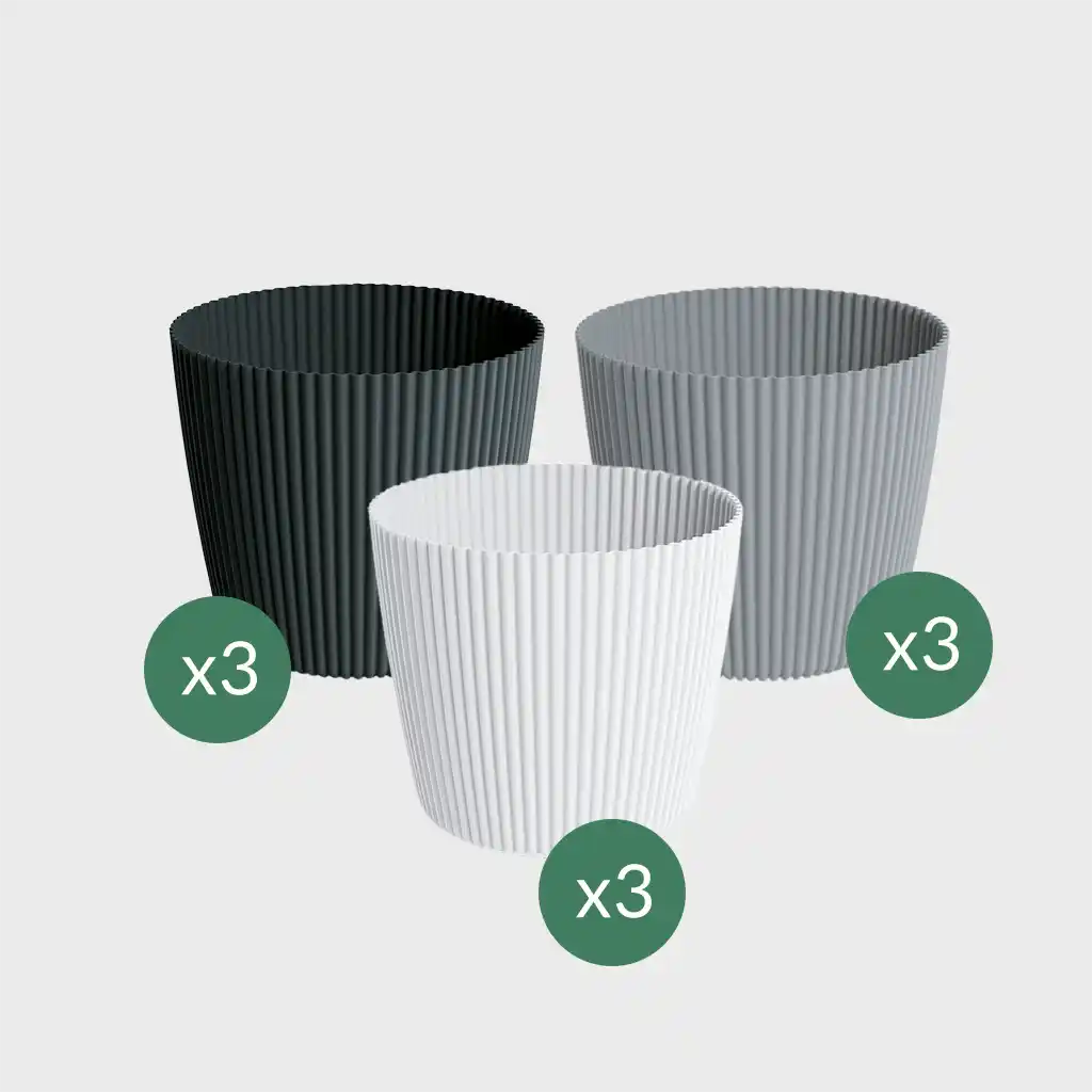 3er Set Milly 11cm