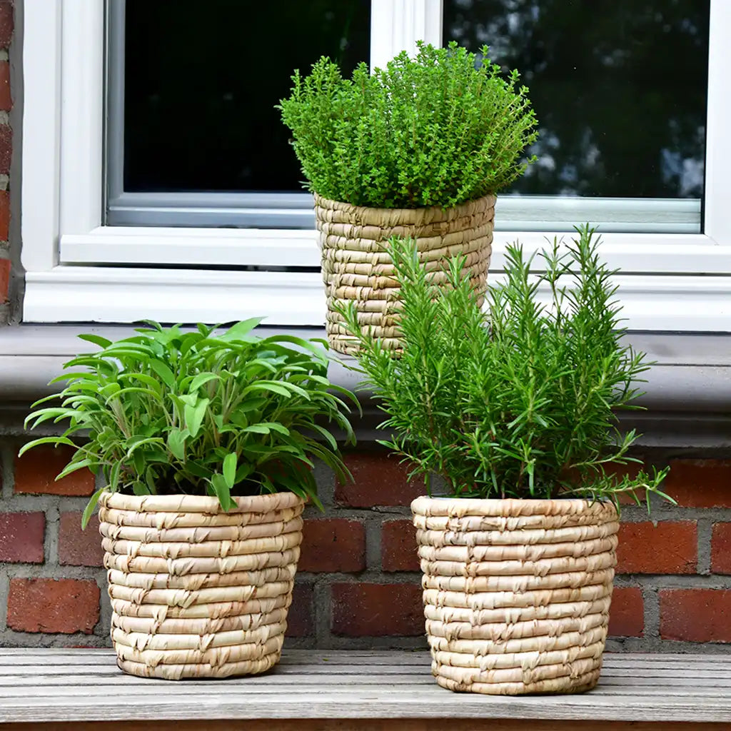 3 FÜR 2 Körbe aus Palmenblättern 18cm