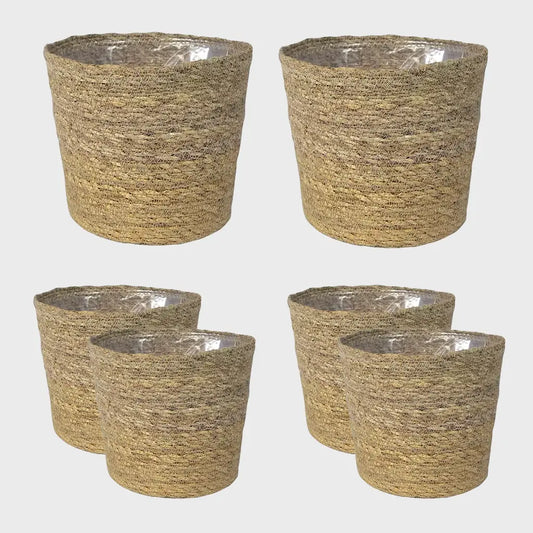 6er Übertopfset 2L 4S Seegras