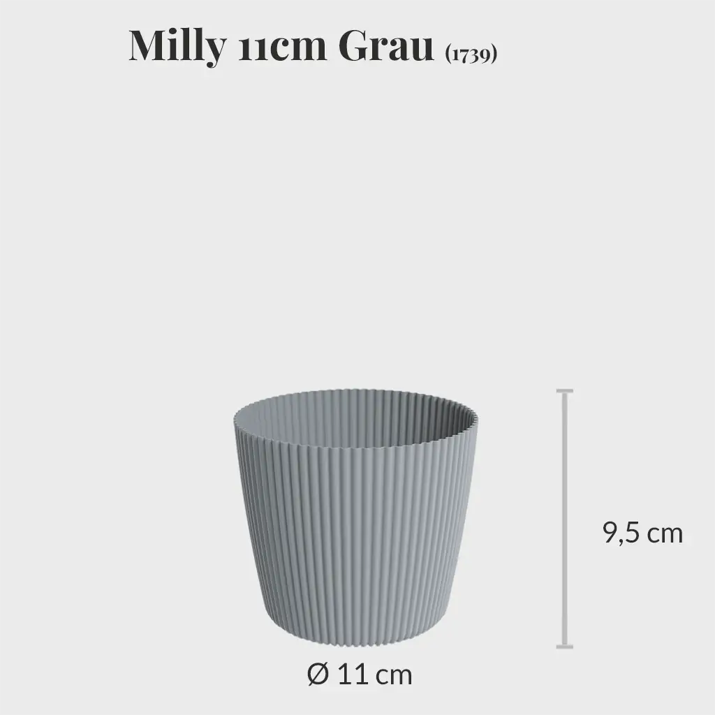 3er Set Milly 11cm