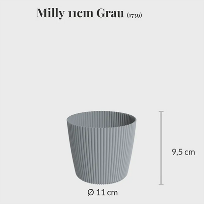 3er Set Milly 11cm