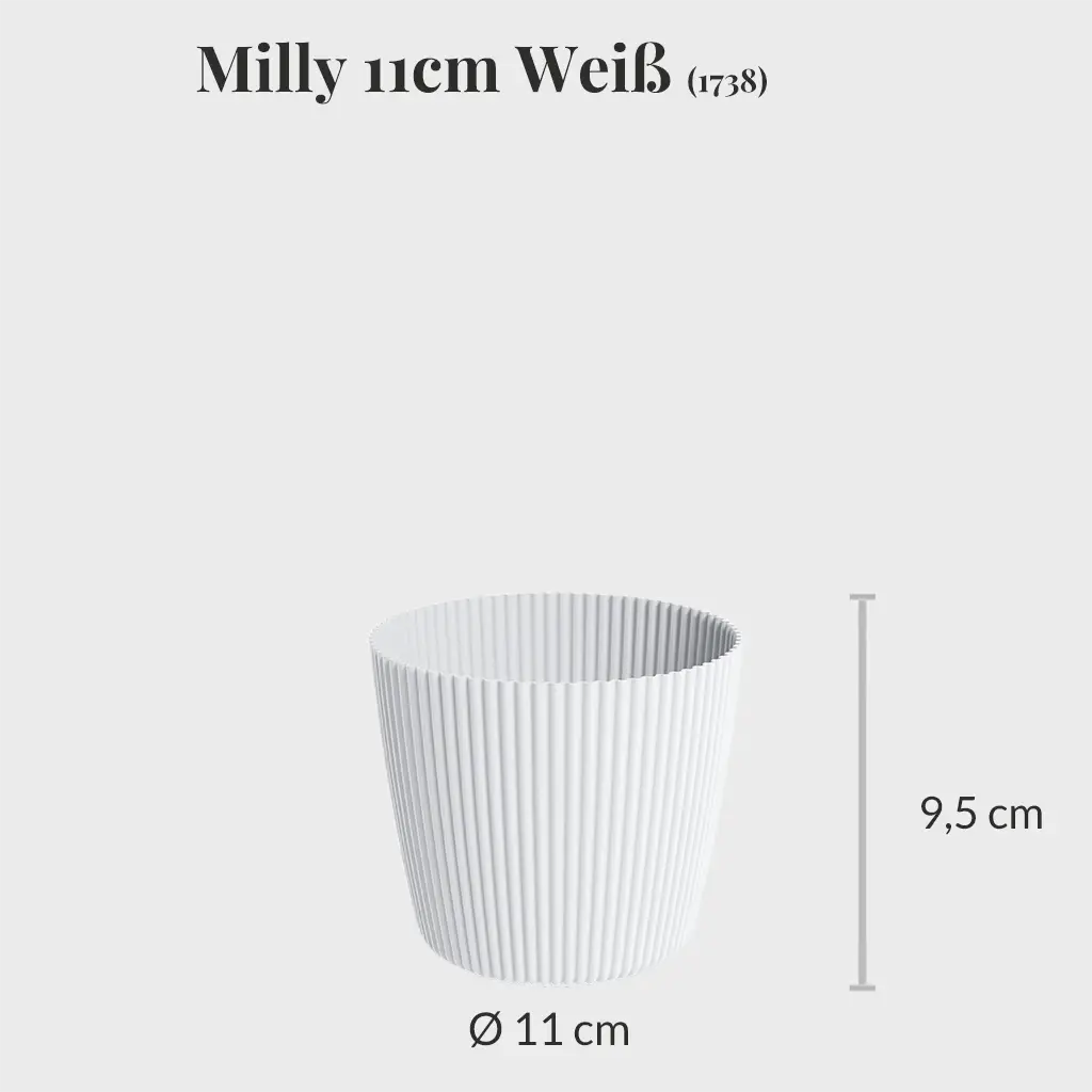 3er Set Milly 11cm