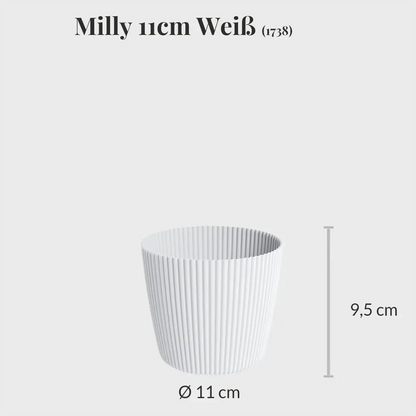 3er Set Milly 11cm