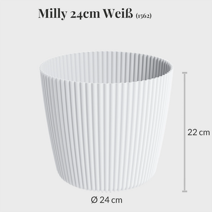 Milly 24cm