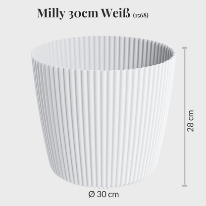 6er Übertopfset 6XXL Milly 30cm