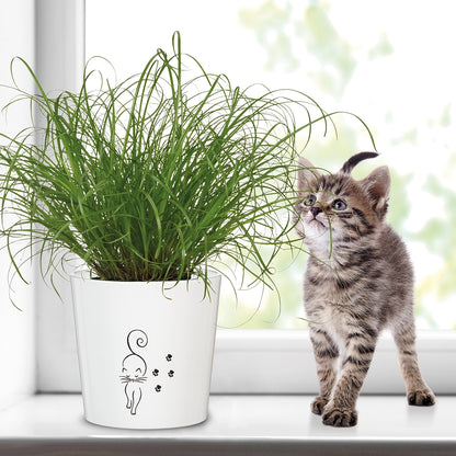 2er Übertopfset Catview & Catwalk