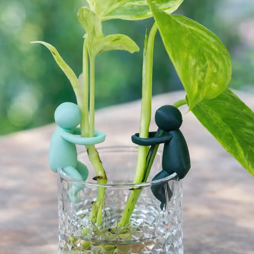 Green Me Up Buddy Pflanzenstütze für Ableger in dunkelgrün oder türkis
