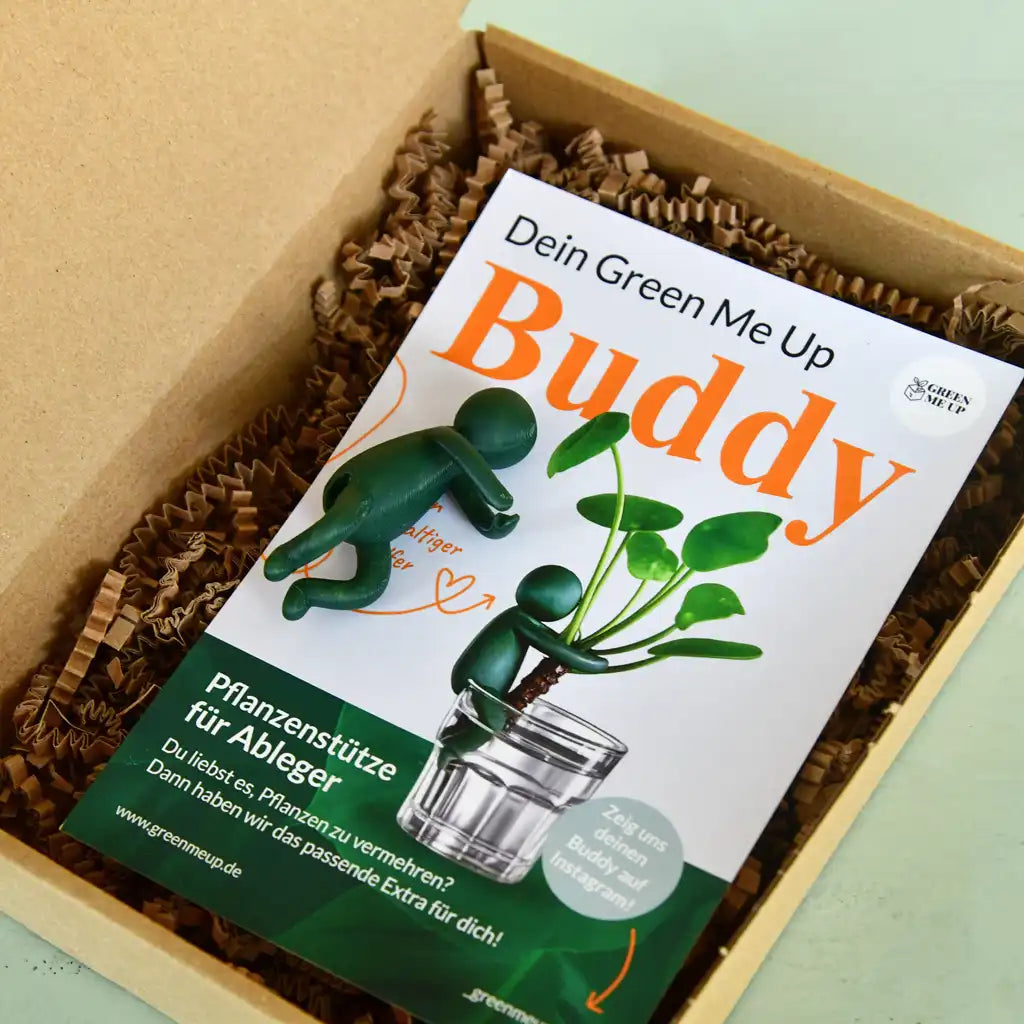 Green Me Up Buddy Pflanzenstütze für Ableger Verpackung mit Flyer