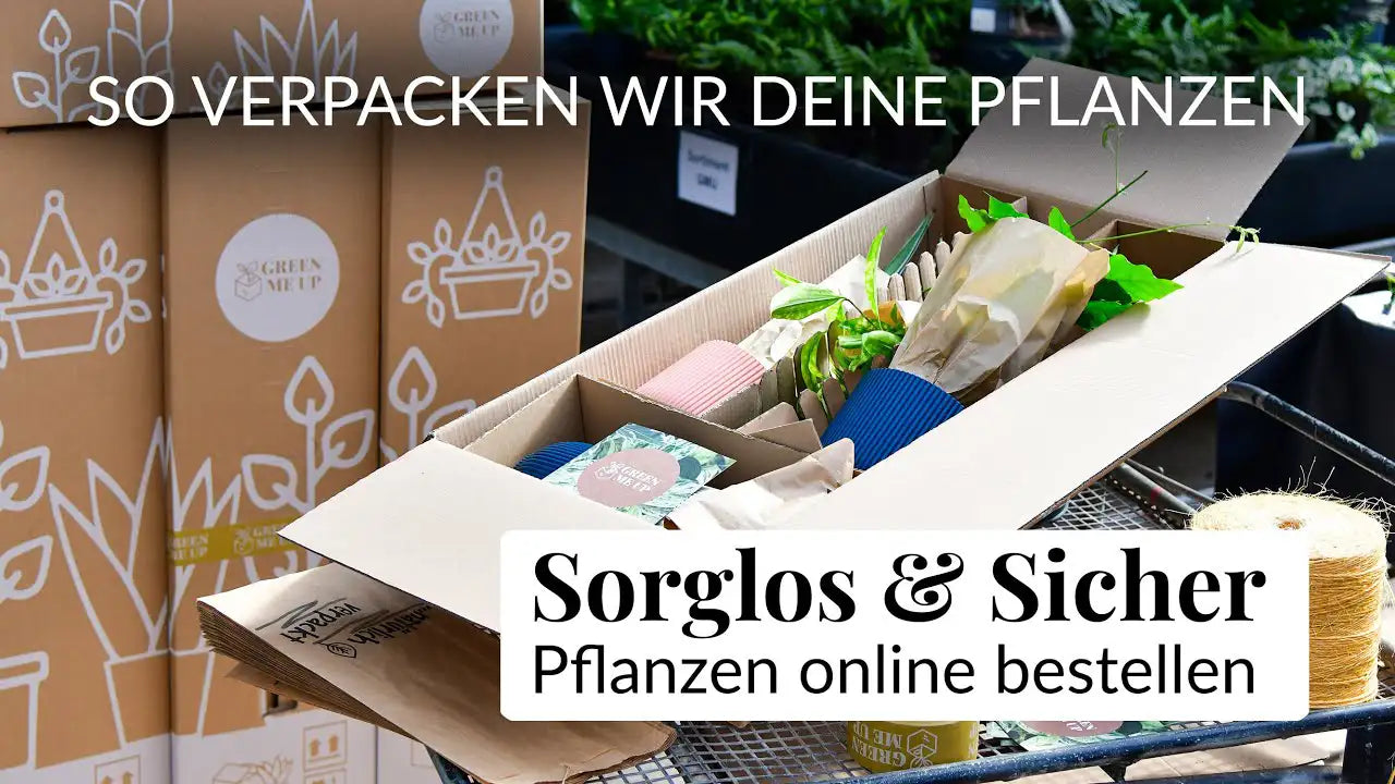 Video laden: 