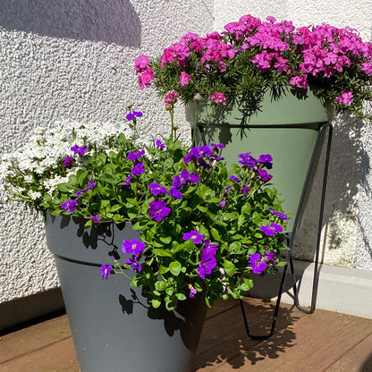 Elho Loft Pflanzkübel 30cm