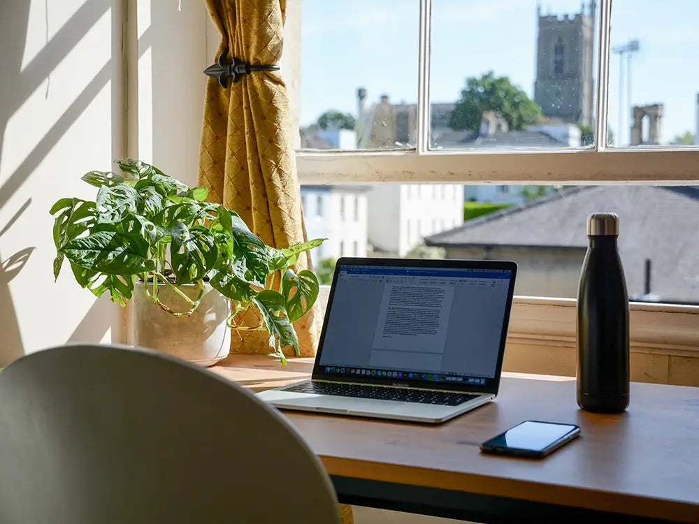 Ein Homeoffice mit Fenster und laptop. Eine Monsterpflanze.