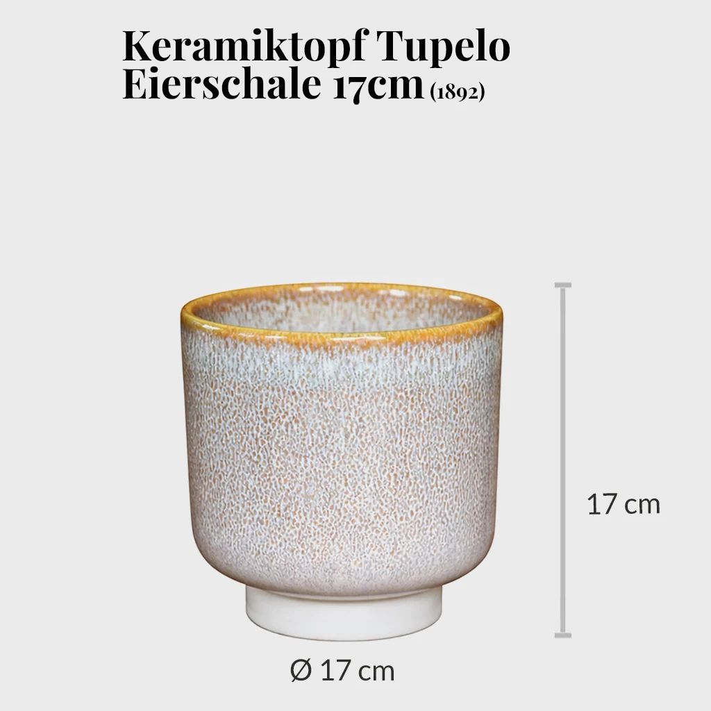 2er Übertopfset 1M 1S Tupelo
