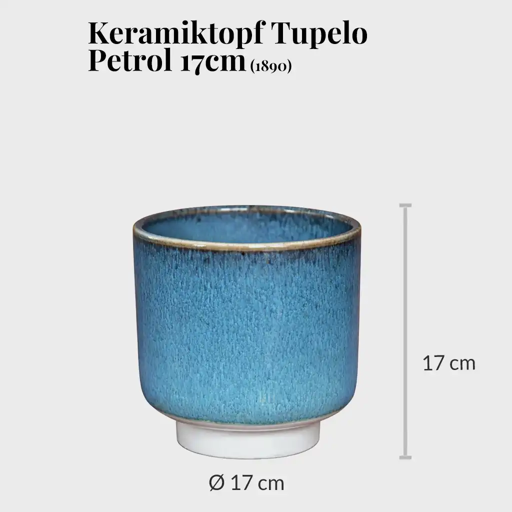 2er Übertopfset 1M 1S Tupelo Petrol