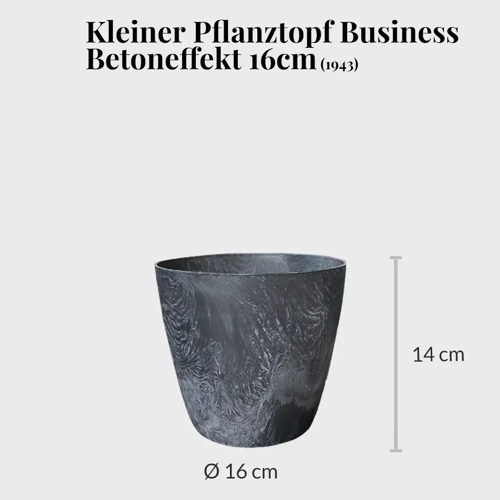 Basic Büropflanzen - 3er Set  Instyle