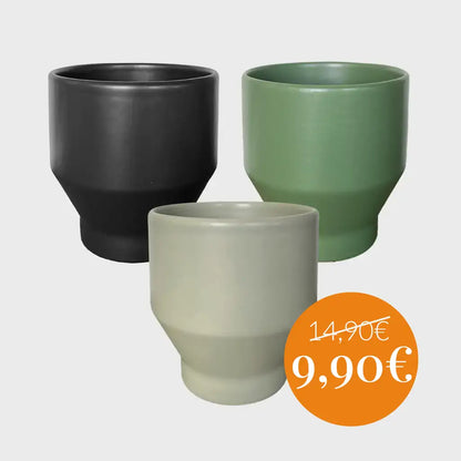 Mix & Match Übertopf Sale mit passender Pflanze