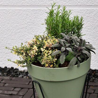 Elho Loft 30cm mit Erde 10L