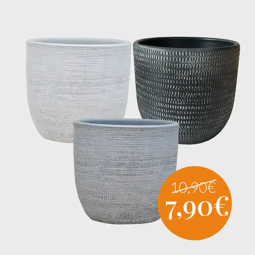 Mix & Match Übertopf Sale mit passender Pflanze
