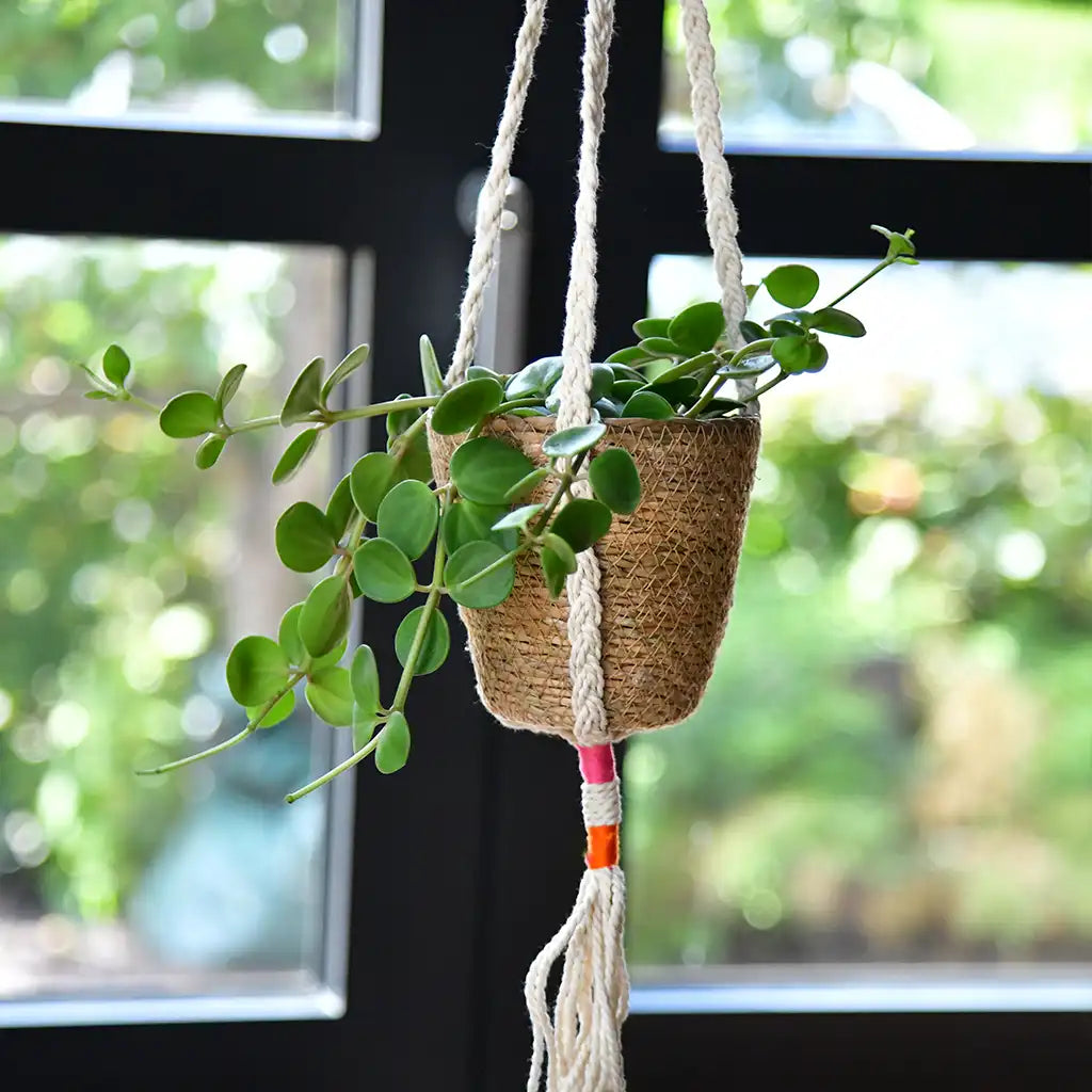 Makramee Aufhänger für Pflanzen zum Aufhängen, Pflanzen Dekoration, Boho Stil
