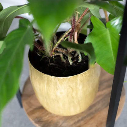 Metalltopf Babet 24cm