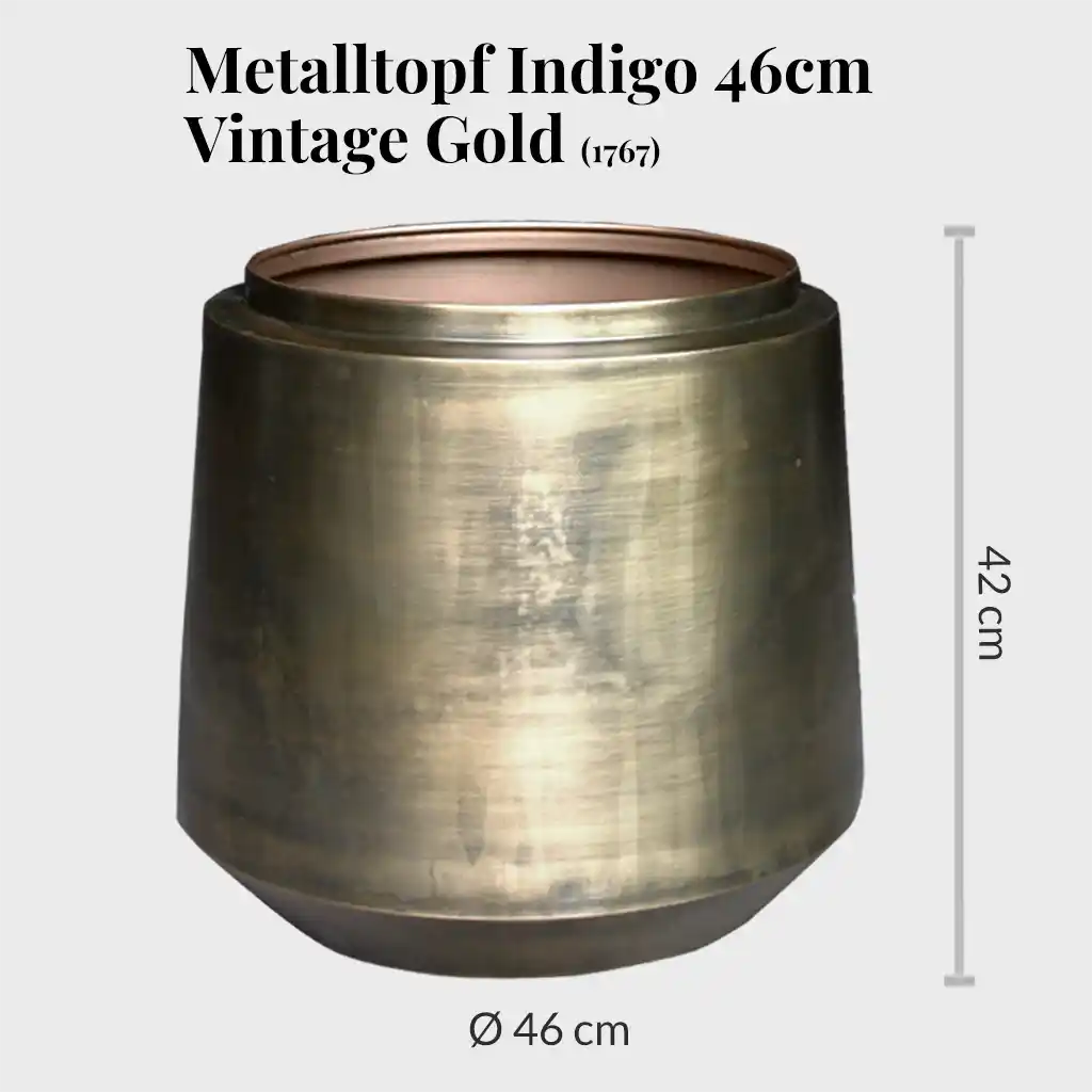 Palettenset Classico-Indigo : 3XXL 3XL  Büropflanzen in Hydrokultur