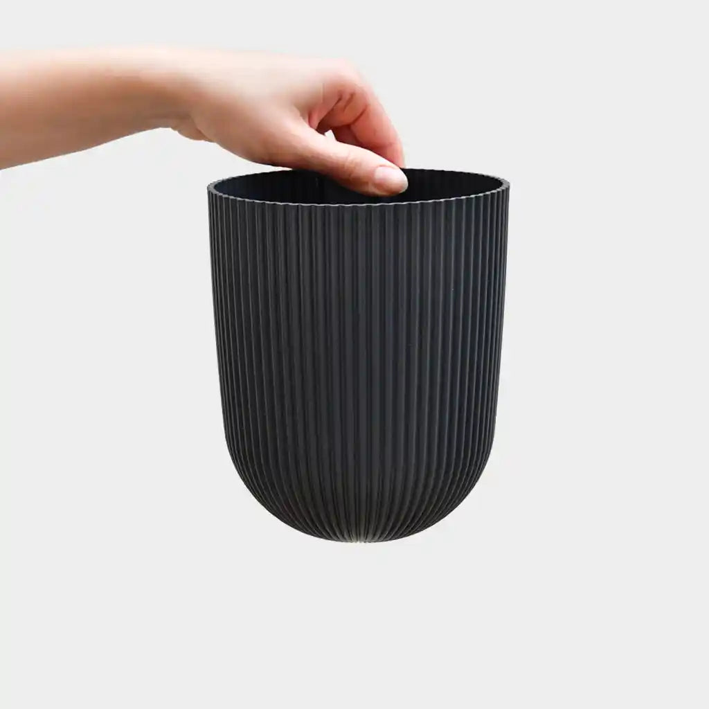Milly Wall 15cm