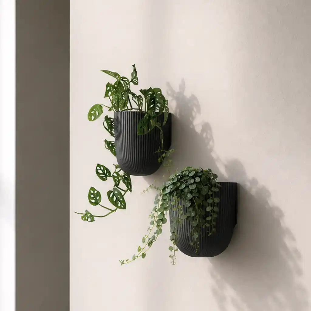 Milly Wall 15cm