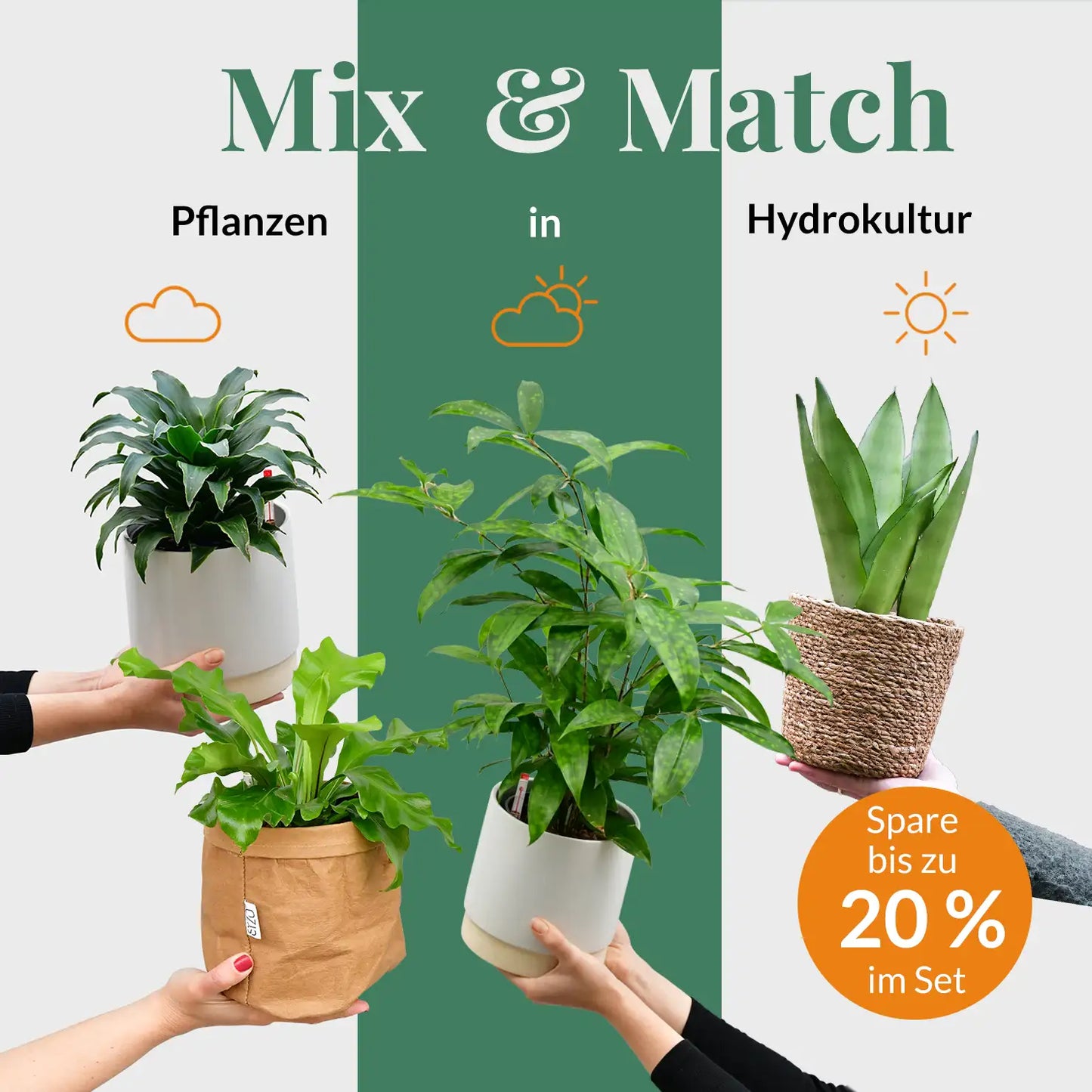 Mix & Match Hydrokultur Pflanzen