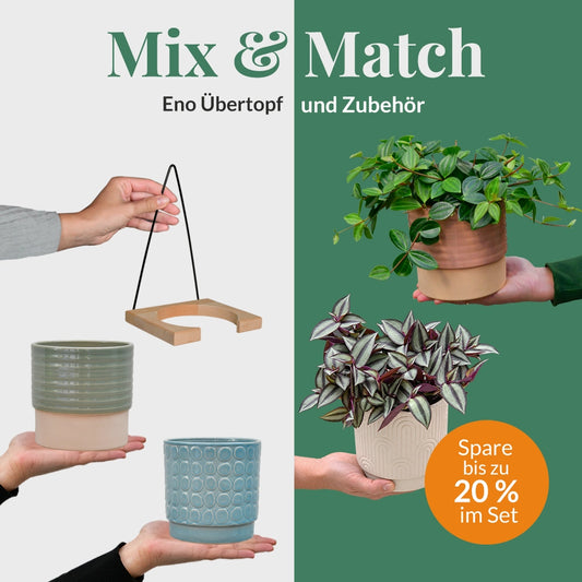 Mix & Match Fenix Wandhänger-Set