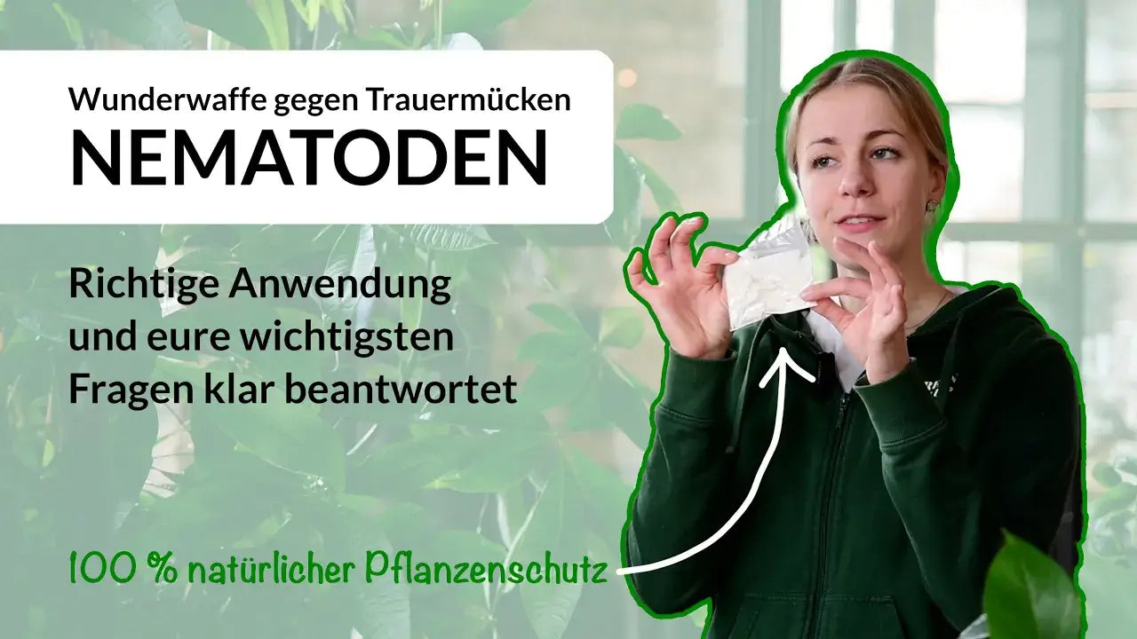 Video laden: Nematoden Anleitung