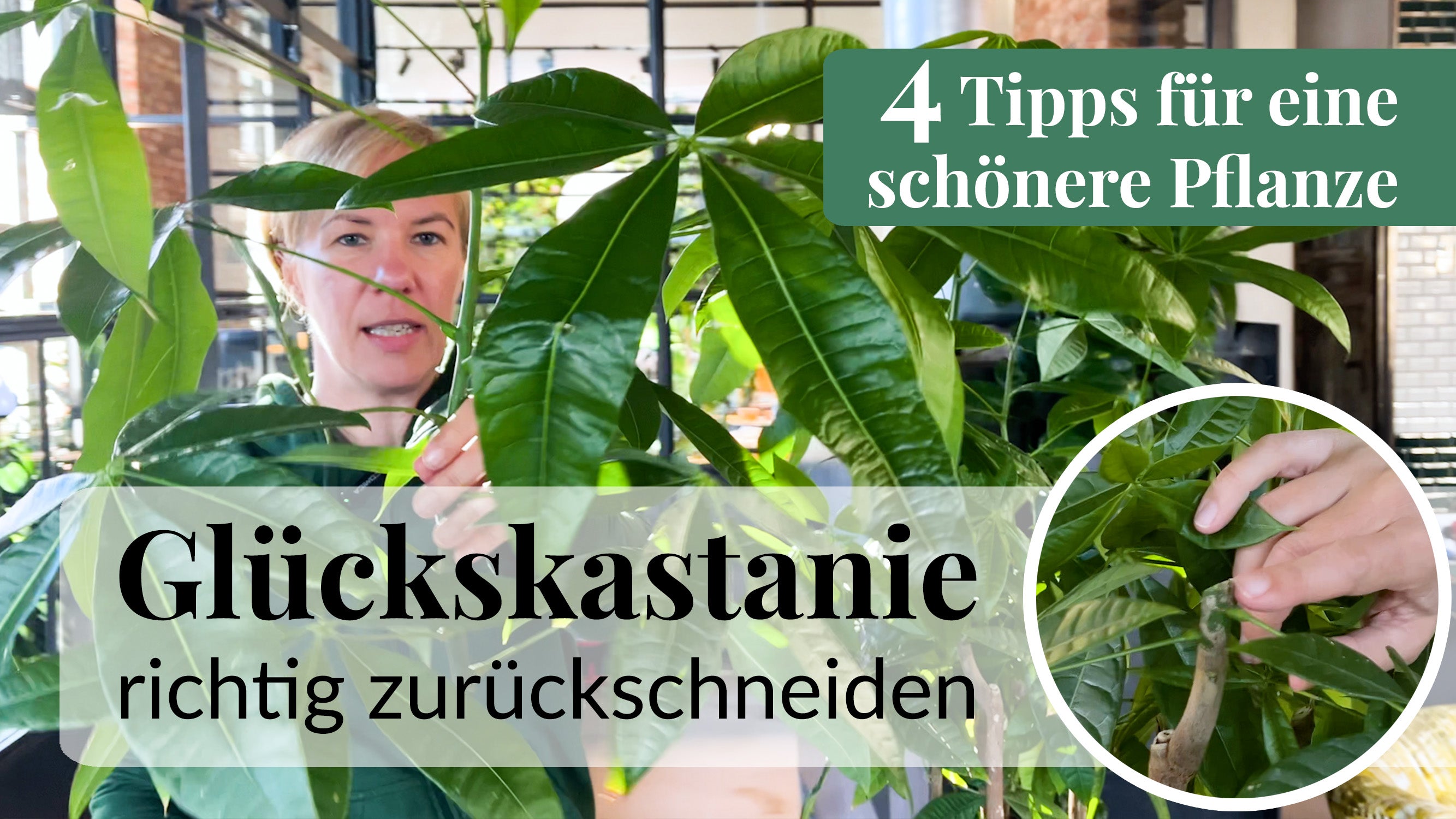 Video laden: 