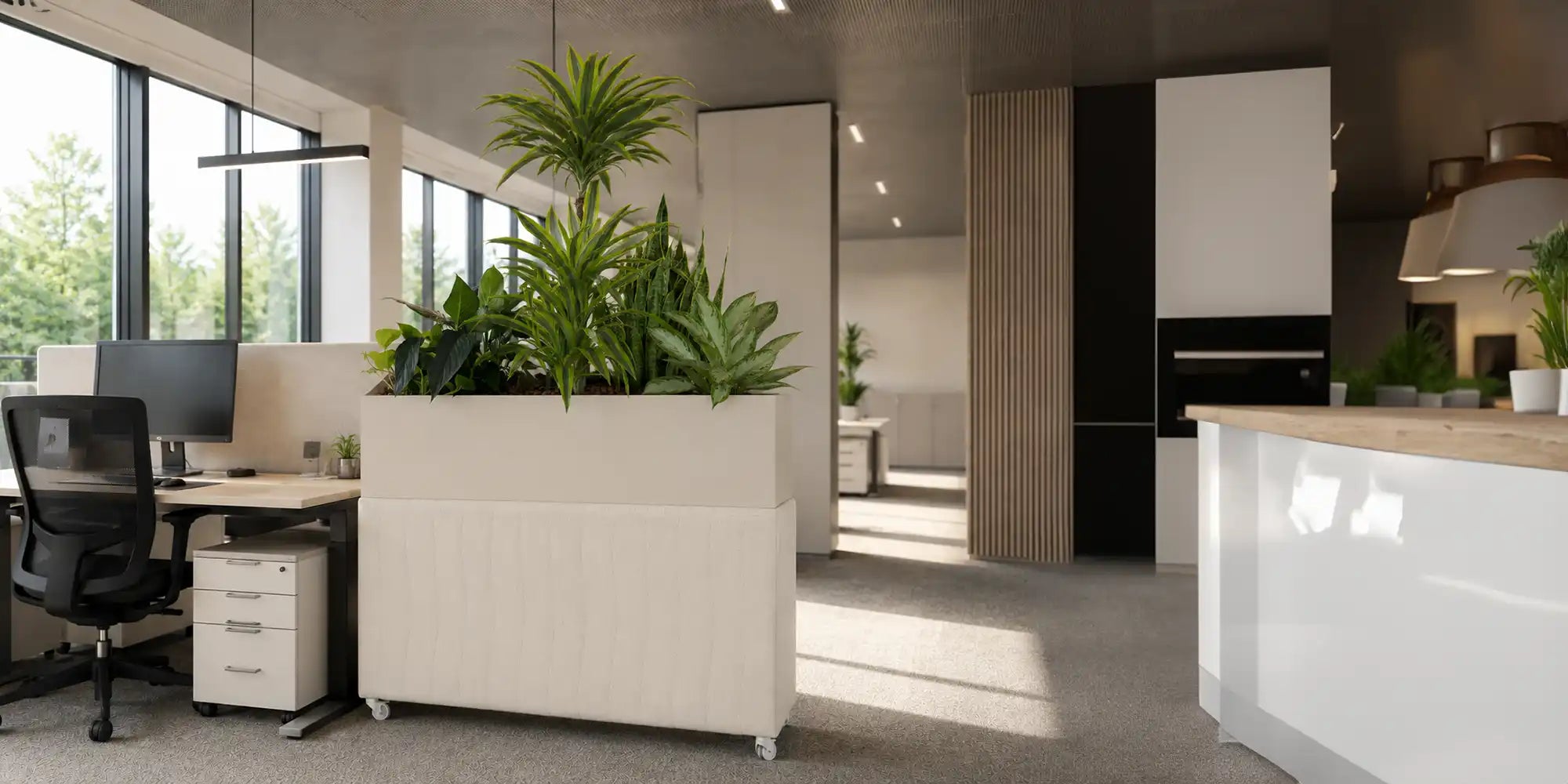 Modernes Büro mit Akustikschluckendest Gefäß MITTZON von Ikea fertig bepflanzt mit luftreinigenden Pflanzen