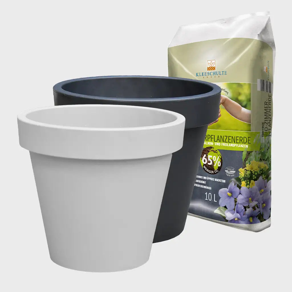 Pflanzkübel Outdoor 40cm mit Erde