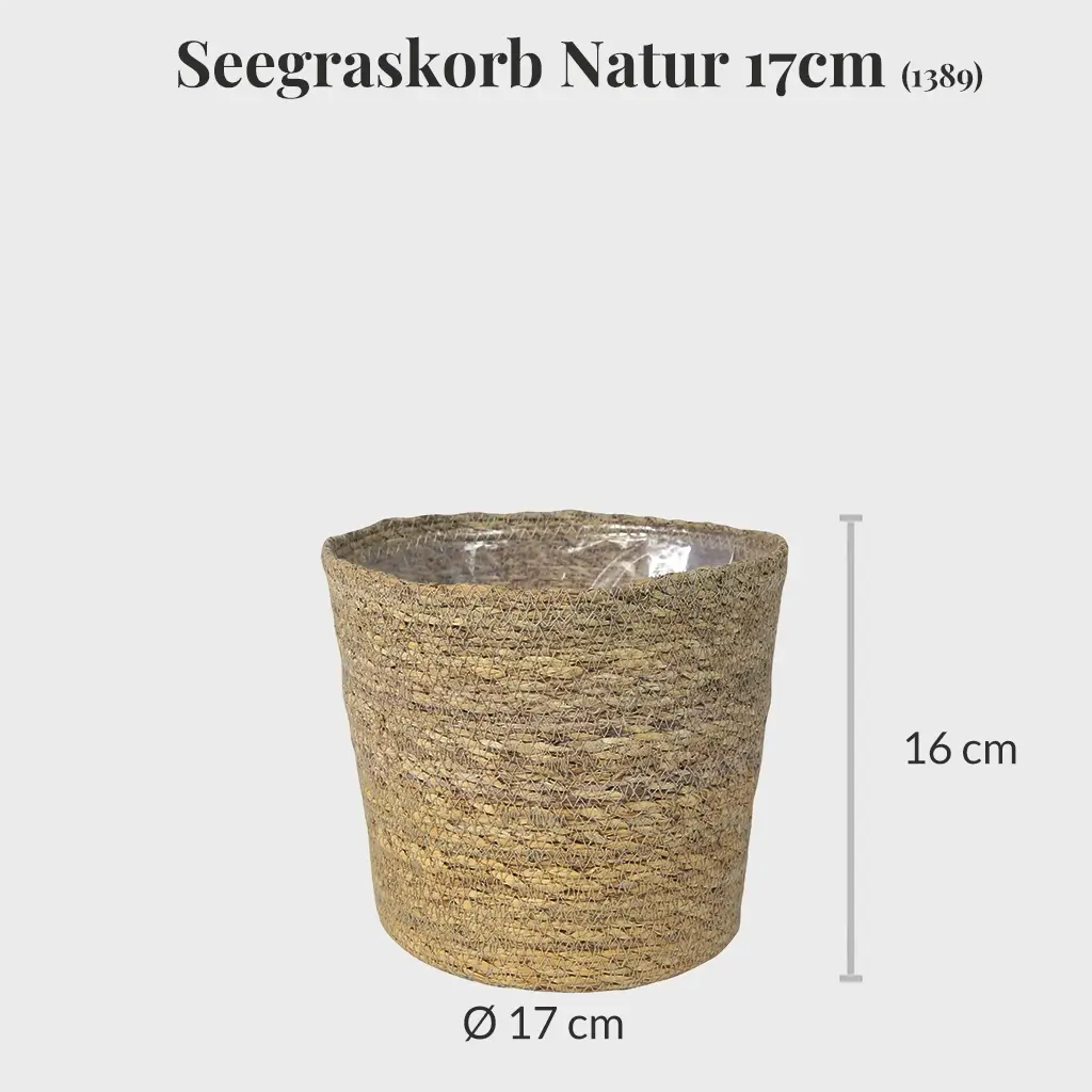 3er Übertopfset 3M Anthrazit