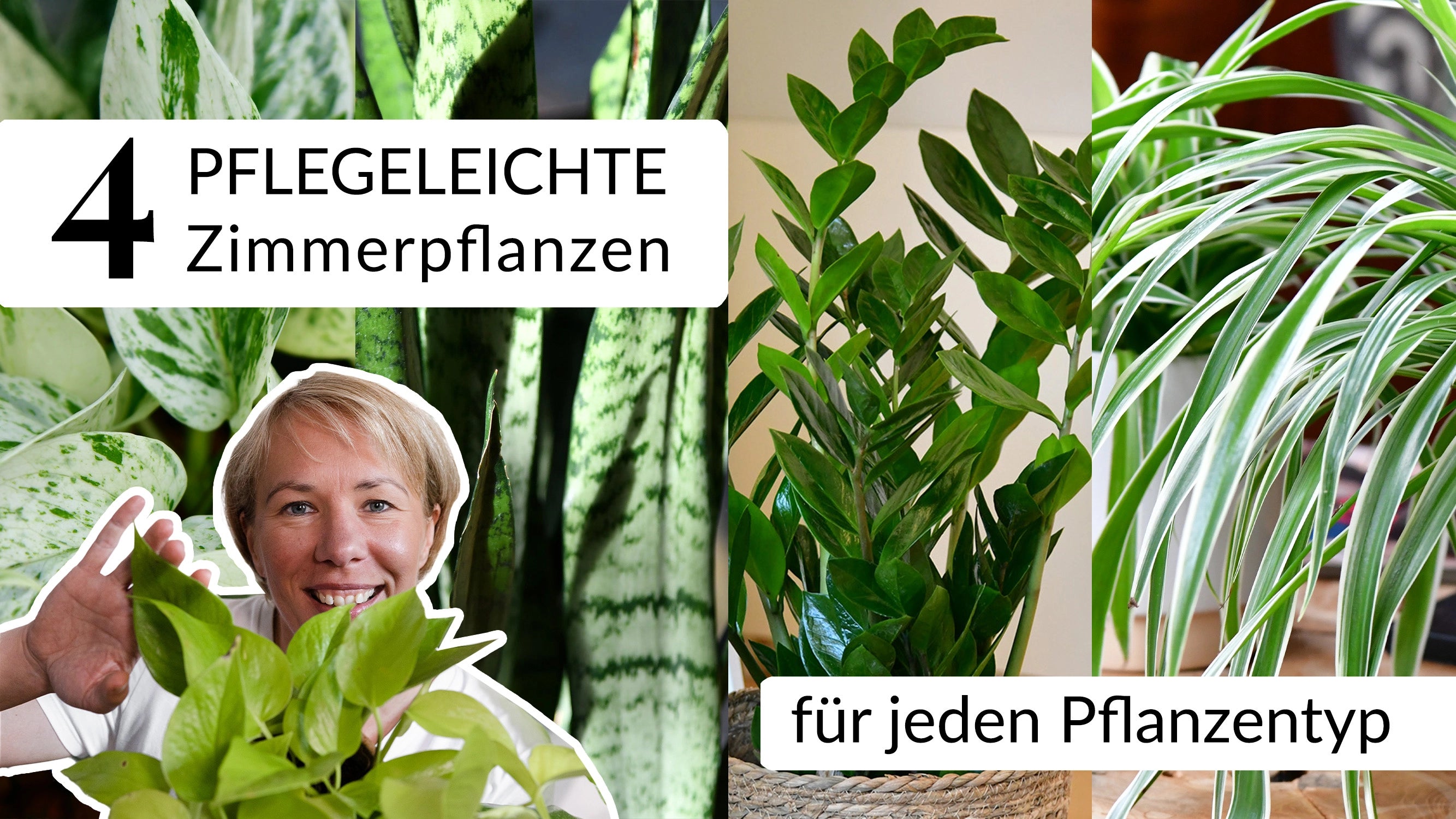 Video laden: 