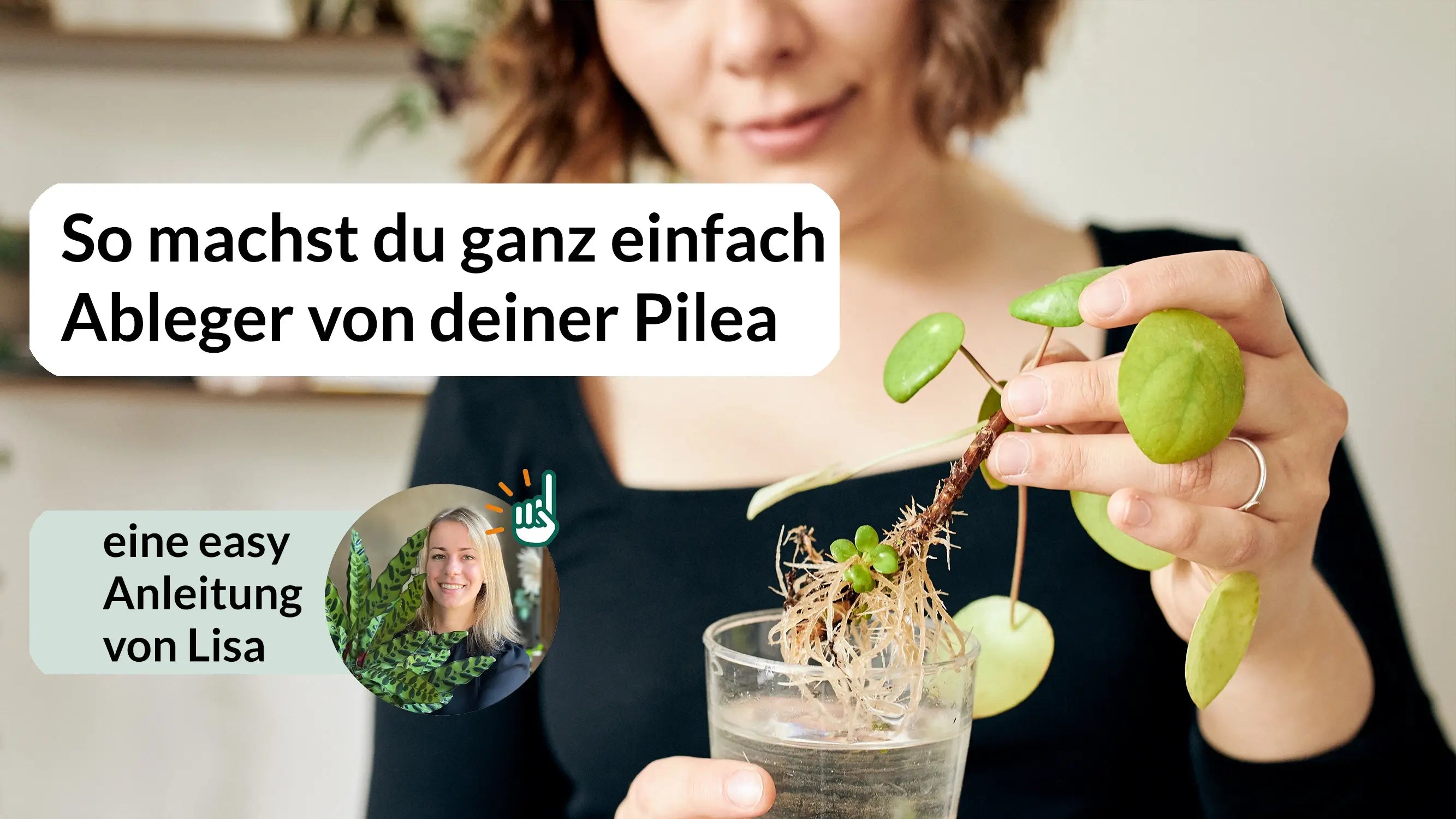 Video laden: 