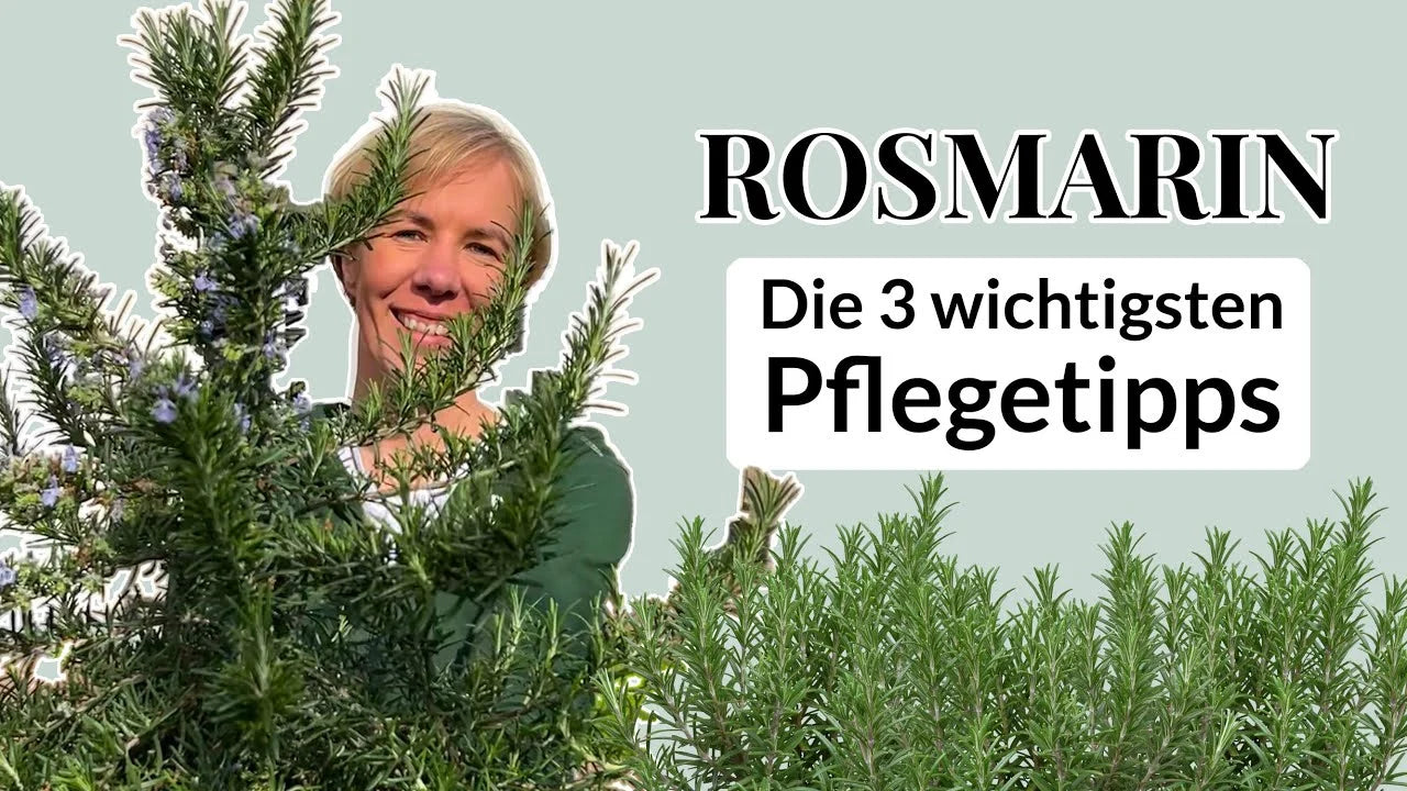 Video laden: 