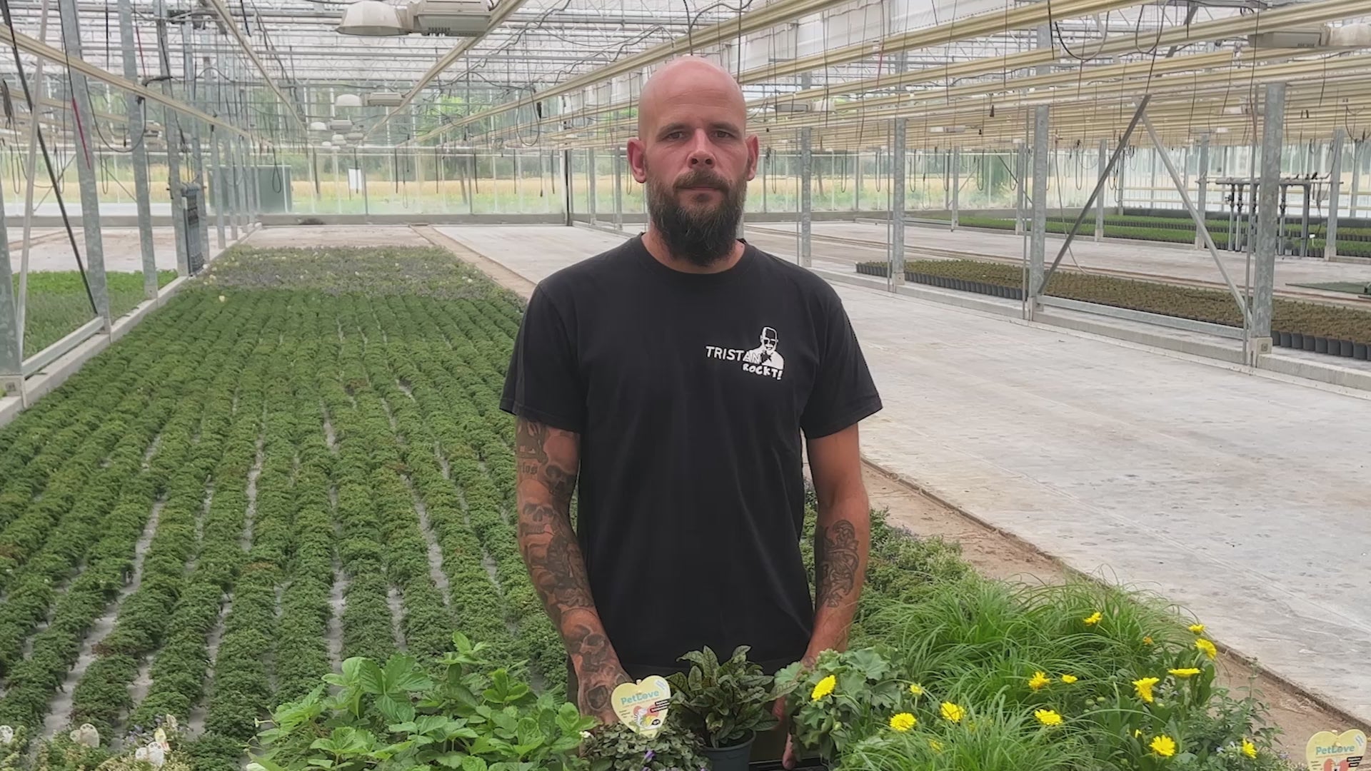 Video laden: 