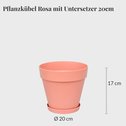 3er Set Elho Loft Pflanzkübel mit Untersetzer 20cm mit Erde