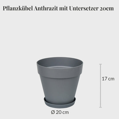 3er Set Elho Loft Pflanzkübel mit Untersetzer 20cm mit Erde