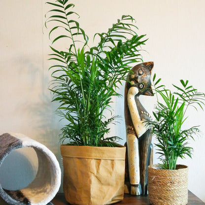 Bergplame in groß und Klein auf Sideboard