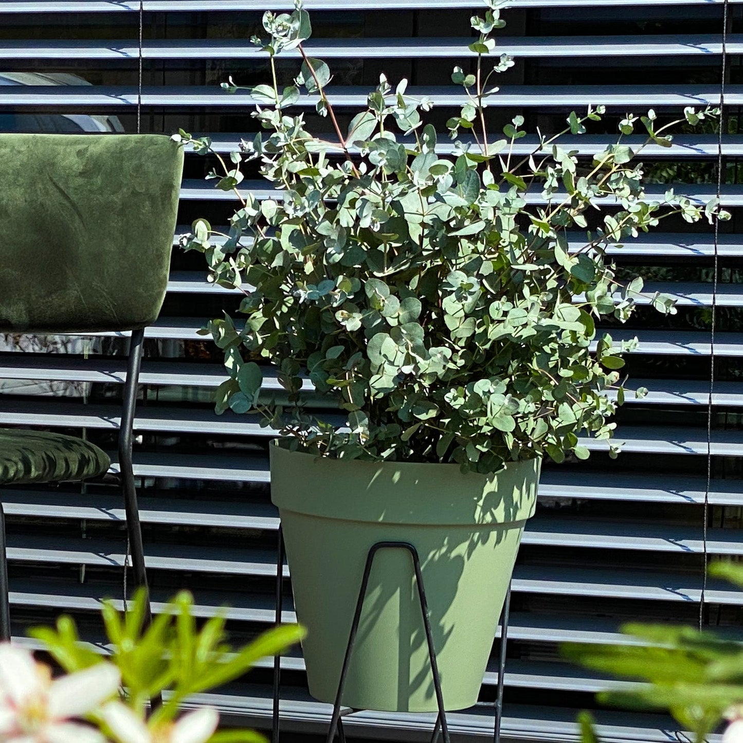Loft Pflanzkübel Set Duftender Eukalyptus