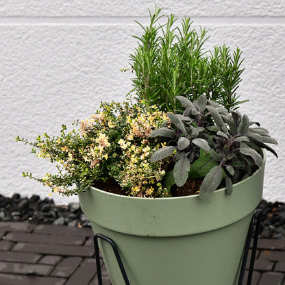 Elho Loft Pflanzkübel 30cm